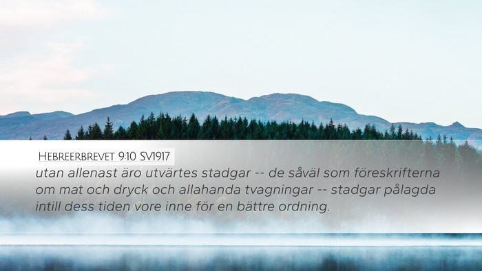 Hebreerbrevet 9:10 SV1917 Bible Verse Image