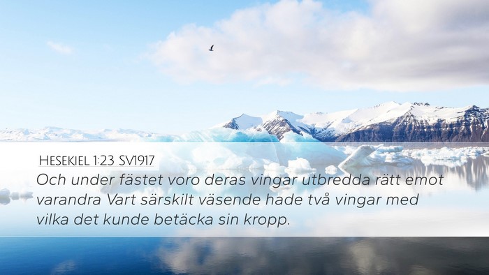 Hesekiel 1:23 SV1917 Bible Verse Image