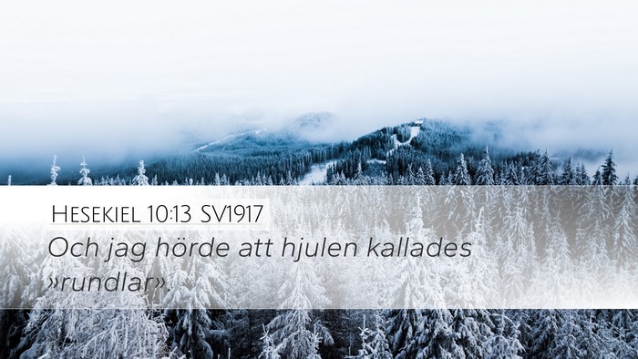 Hesekiel 10:13 SV1917 Bible Verse Image