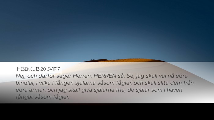 Hesekiel 13:20 SV1917 Bible Verse Image