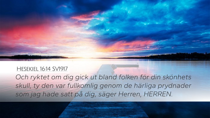 Hesekiel 16:14 SV1917 Bible Verse Image