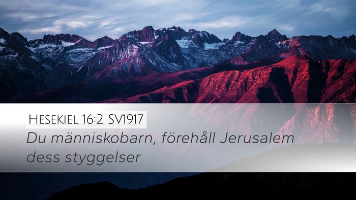 Hesekiel 16:2 SV1917 Bible Verse Image