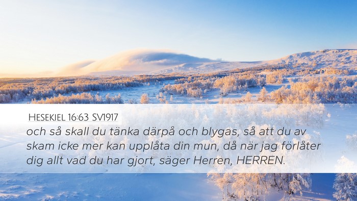 Hesekiel 16:63 SV1917 Bible Verse Image
