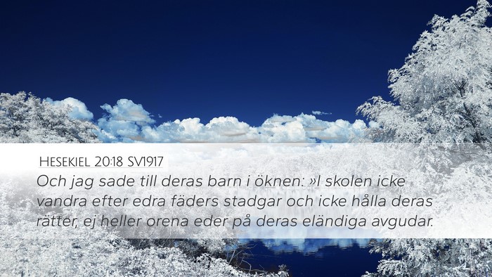 Hesekiel 20:18 SV1917 Bible Verse Image
