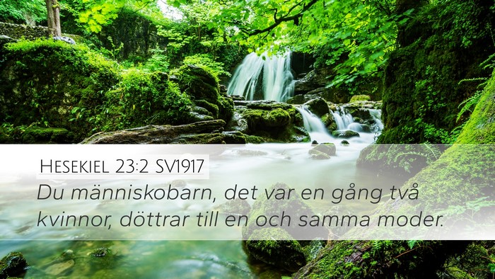 Hesekiel 23:2 SV1917 Bible Verse Image
