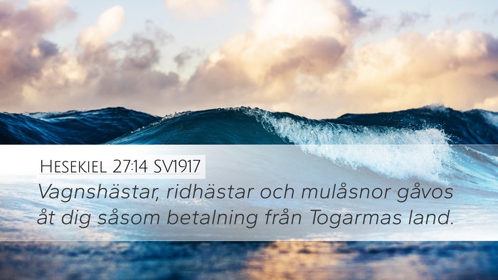 Hesekiel 27:14 SV1917 Bible Verse Image