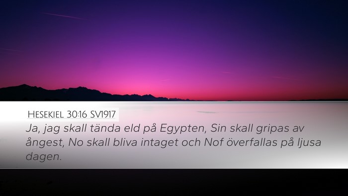 Hesekiel 30:16 SV1917 Bible Verse Image