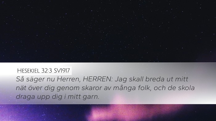 Hesekiel 32:3 SV1917 Bible Verse Image