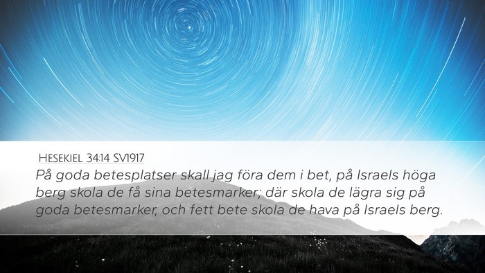 Hesekiel 34:14 SV1917 Bible Verse Image