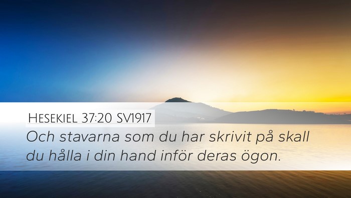 Hesekiel 37:20 SV1917 Bible Verse Image