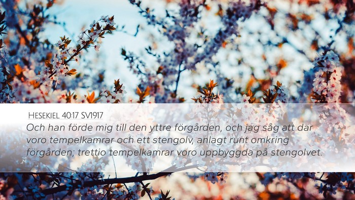 Hesekiel 40:17 SV1917 Bible Verse Image
