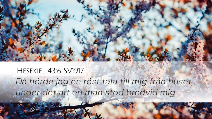 Hesekiel 43:6 SV1917 Bible Verse Image