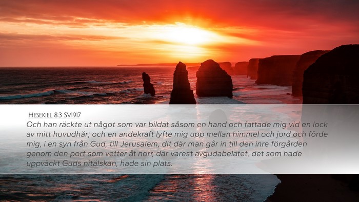 Hesekiel 8:3 SV1917 Bible Verse Image