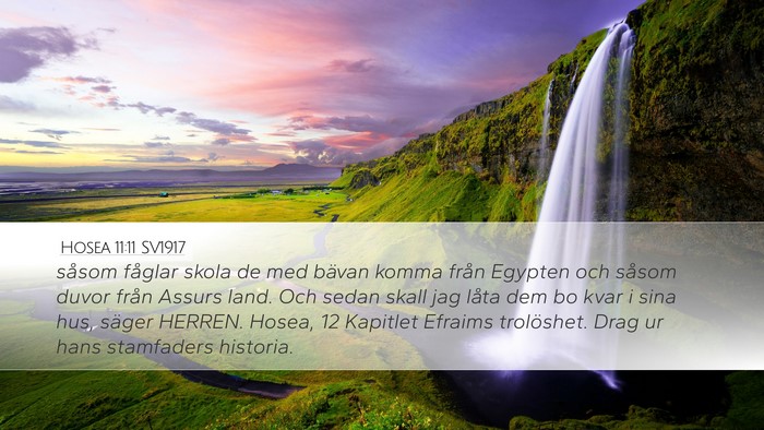 Hosea 11:11 SV1917 Bible Verse Image