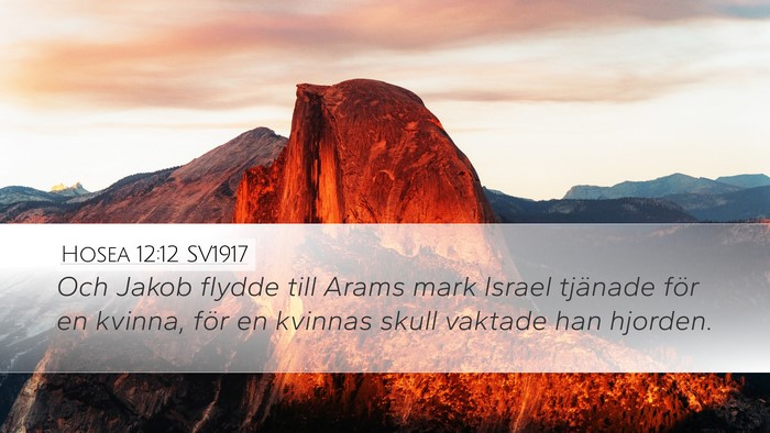 Hosea 12:12 SV1917 Bible Verse Image