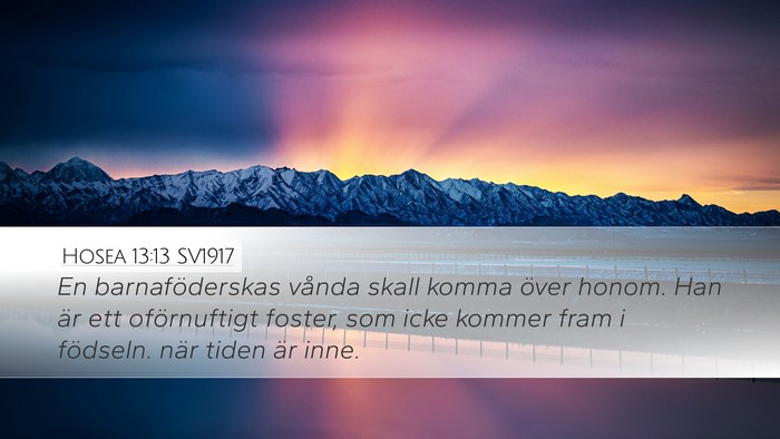 Hosea 13:13 SV1917 Bible Verse Image