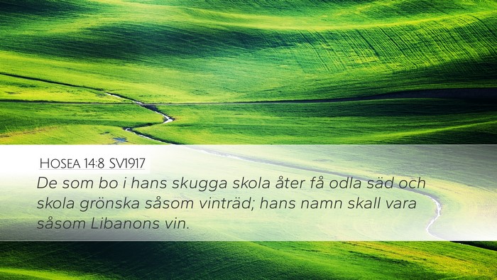 Hosea 14:8 SV1917 Bible Verse Image