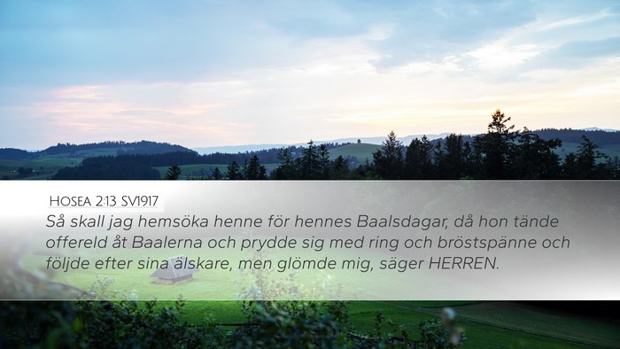 Hosea 2:13 SV1917 Bible Verse Image
