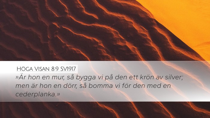 Höga Visan 8:9 SV1917 Bible Verse Image