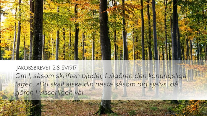 Jakobsbrevet 2:8 SV1917 Bible Verse Image