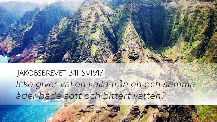 Jakobsbrevet 3:11 SV1917 Desktop Wallpaper - Icke giver väl en källa från en och samma - Desktop Bible Verse Wallpaper