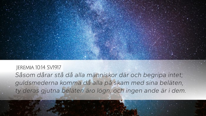 Jeremia 10:14 SV1917 Bible Verse Image