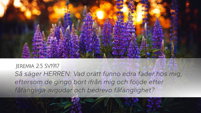 Jeremia 2:5 SV1917 Bible Verse Image