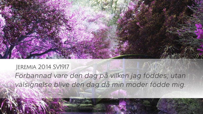Jeremia 20:14 SV1917 Bible Verse Image