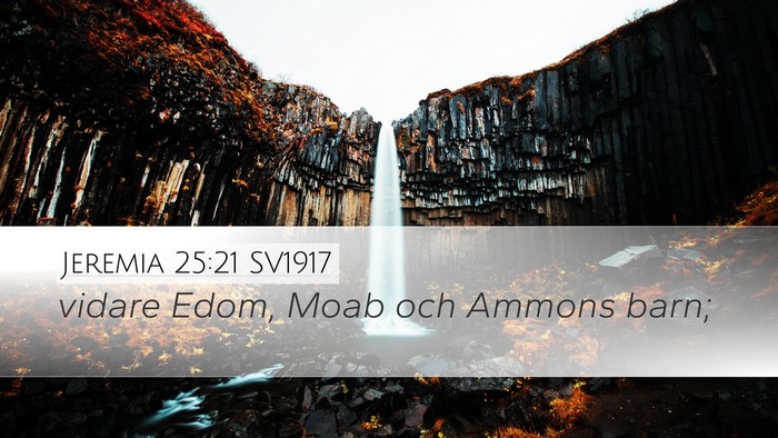 Jeremia 25:21 SV1917 Bible Verse Image