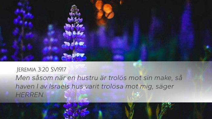 Jeremia 3:20 SV1917 Bible Verse Image