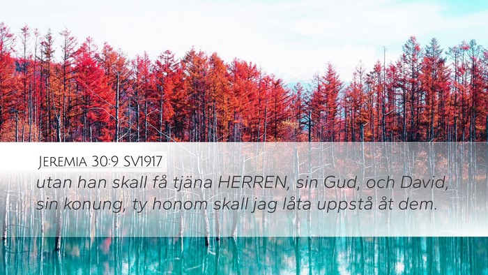Jeremia 30:9 SV1917 Bible Verse Image