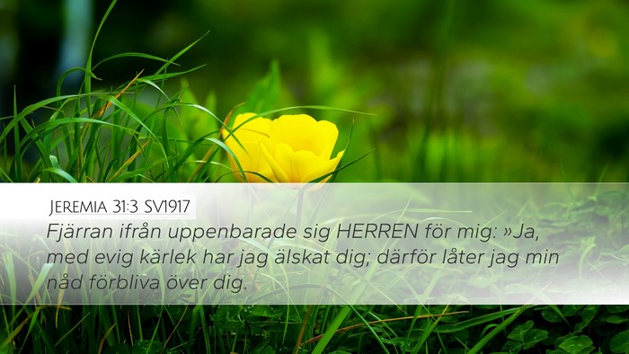 Jeremia 31:3 SV1917 Bible Verse Image