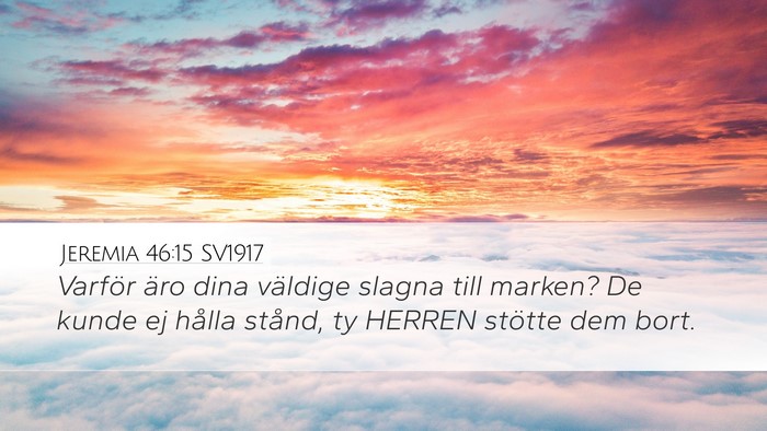 Jeremia 46:15 SV1917 Bible Verse Image