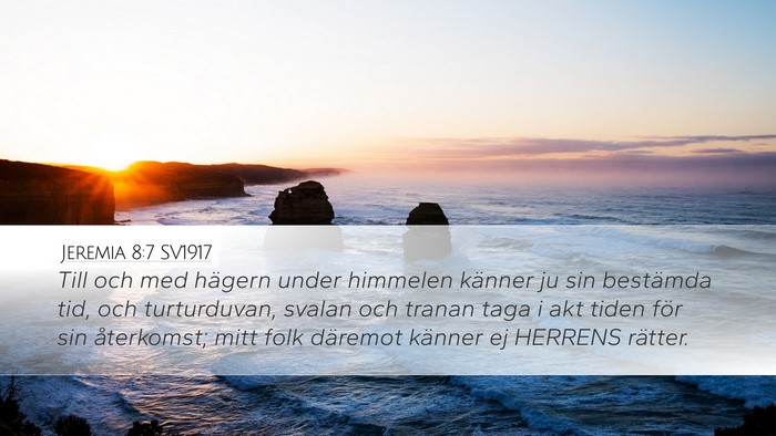 Jeremia 8:7 SV1917 Bible Verse Image