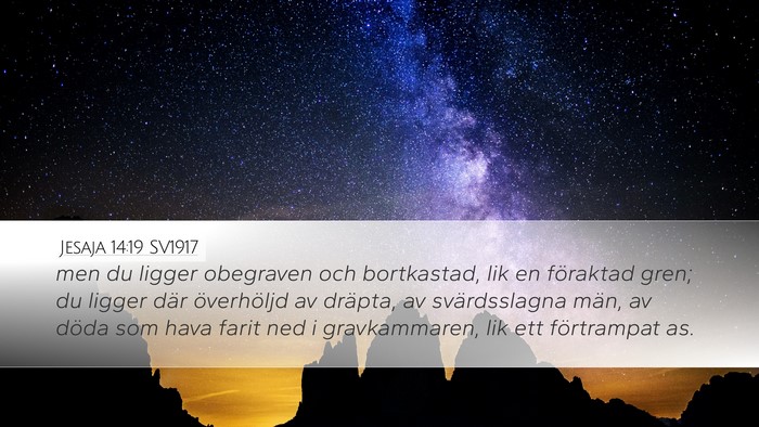 Jesaja 14:19 SV1917 Bible Verse Image