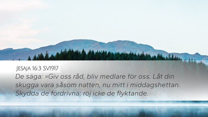 Jesaja 16:3 SV1917 Bible Verse Image