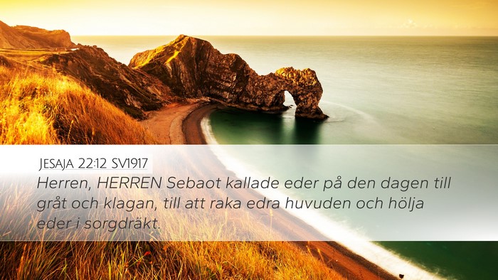 Jesaja 22:12 SV1917 Bible Verse Image