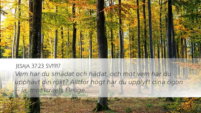 Jesaja 37:23 SV1917 Bible Verse Image