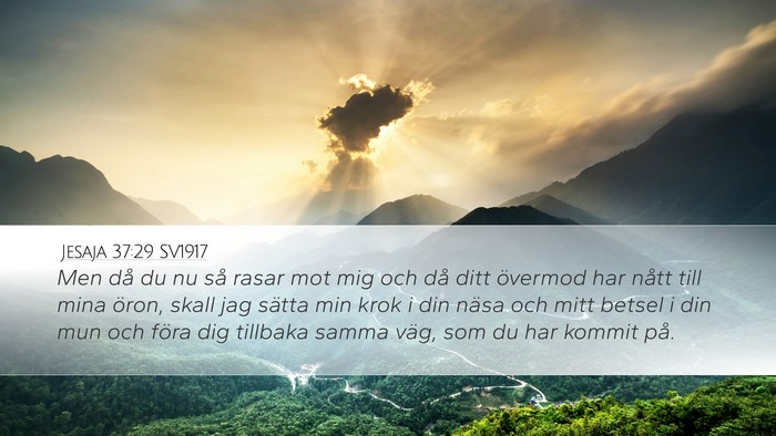 Jesaja 37:29 SV1917 Bible Verse Image