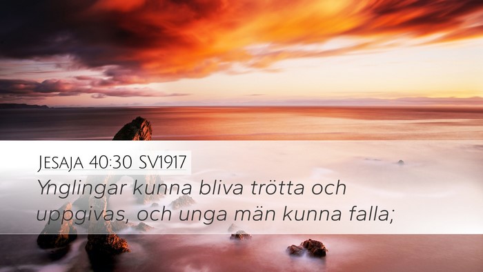 Jesaja 40:30 SV1917 Bible Verse Image