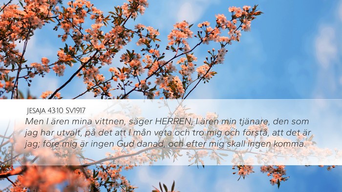 Jesaja 43:10 SV1917 Bible Verse Image