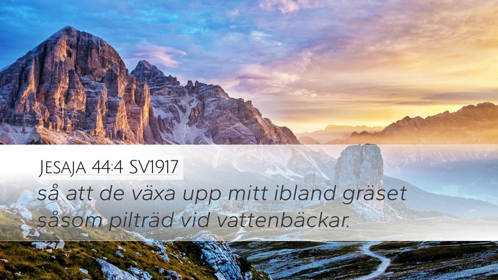 Jesaja 44:4 SV1917 Bible Verse Image