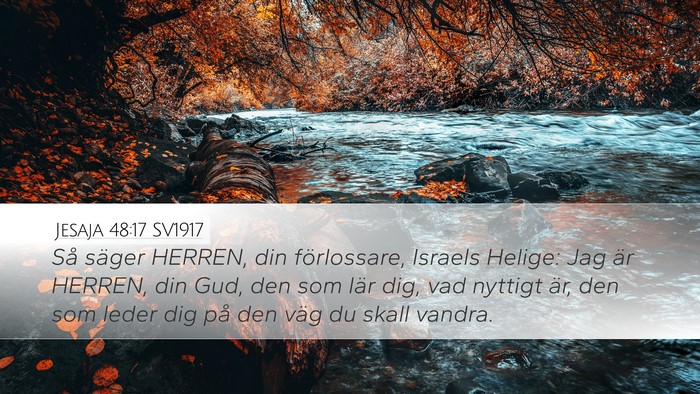 Jesaja 48:17 SV1917 Bible Verse Image