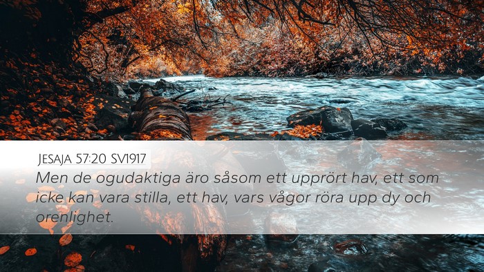 Jesaja 57:20 SV1917 Bible Verse Image