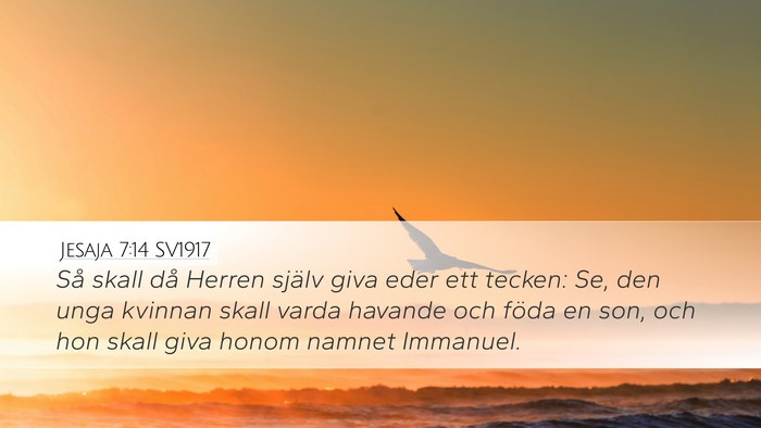 Jesaja 7:14 SV1917 Bible Verse Image