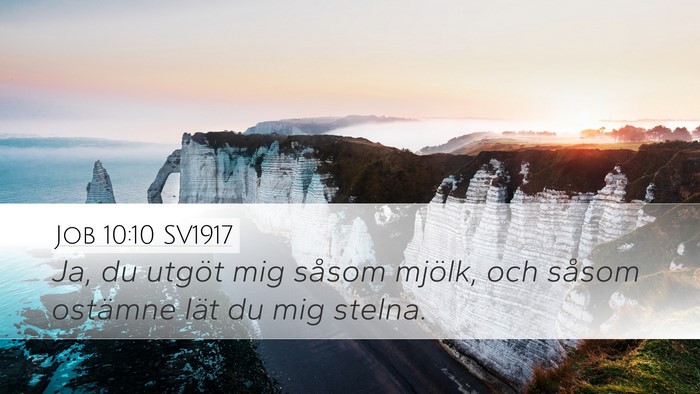 Job 10:10 SV1917 Bible Verse Image