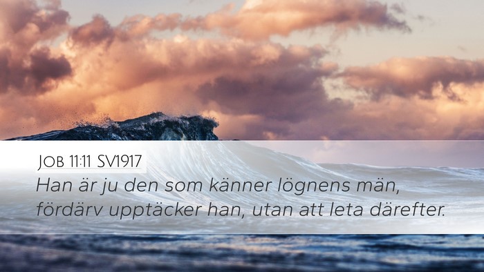 Job 11:11 SV1917 Bible Verse Image