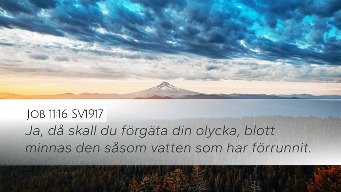 Job 11:16 SV1917 Desktop Wallpaper - Ja, då skall du förgäta din olycka, blott - Desktop Bible Verse Wallpaper