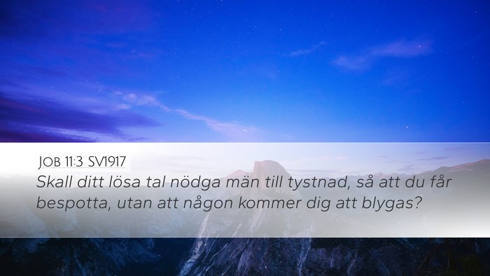 Job 11:3 SV1917 Desktop Wallpaper - Skall ditt lösa tal nödga män till tystnad, - Desktop Bible Verse Wallpaper