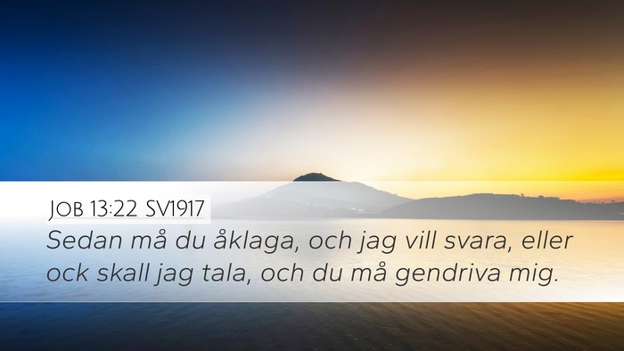 Job 13:22 SV1917 Bible Verse Image